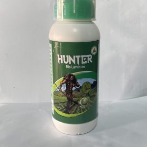 Hunter
