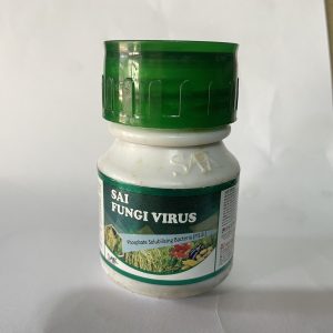 Sai fungi Virus