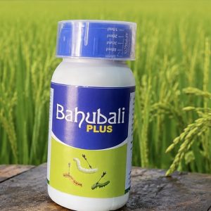 Bahubali plus